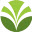 Olam logo