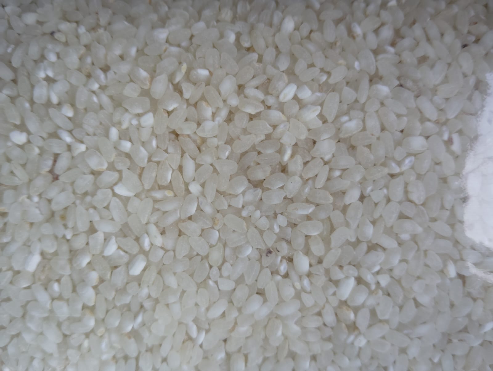 Granular